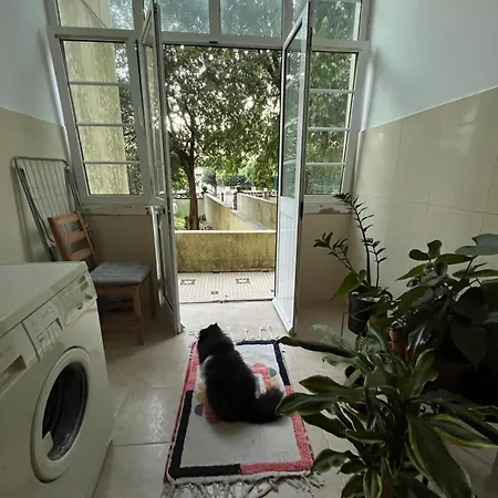 Appartement комната с двуспальной кроватью в уютных апартаментах